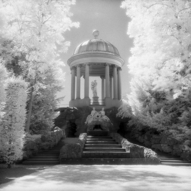 img_Efke820IR-XTOL1p1_384 crop edit printprep.jpg - Dieses Bild ist im Schlosspark von Schwetzingen entstanden. Ich staune immer wieder über den enormen Dynamikbereich, den ein Film erfassen kann. Hier wäre digital definitv eine HDR Aufnahme nötig gewesen.